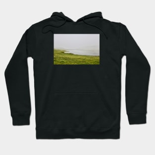 Fog & Lake & Flowers / Swiss Artwork Photography Hoodie